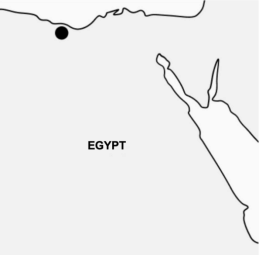 The company is located in Egypt